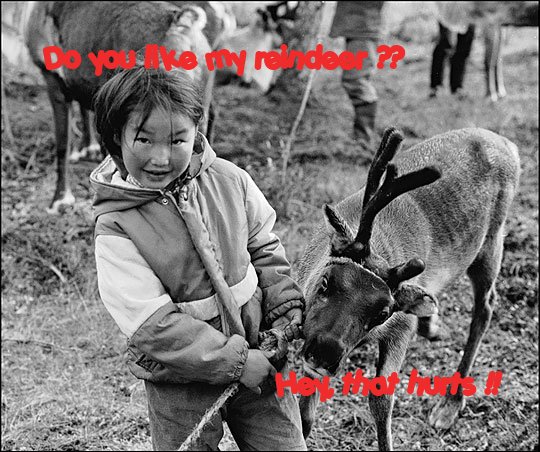 http://thinman.com/images/reindeer_young_girl.jpg